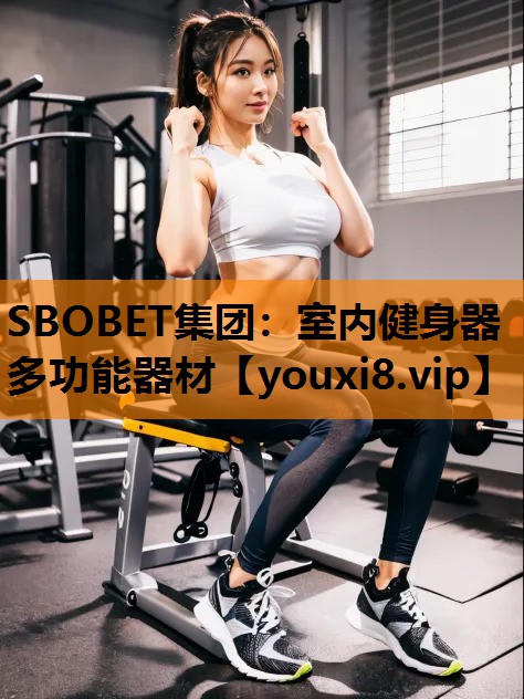 SBOBET集团：室内健身器多功能器材