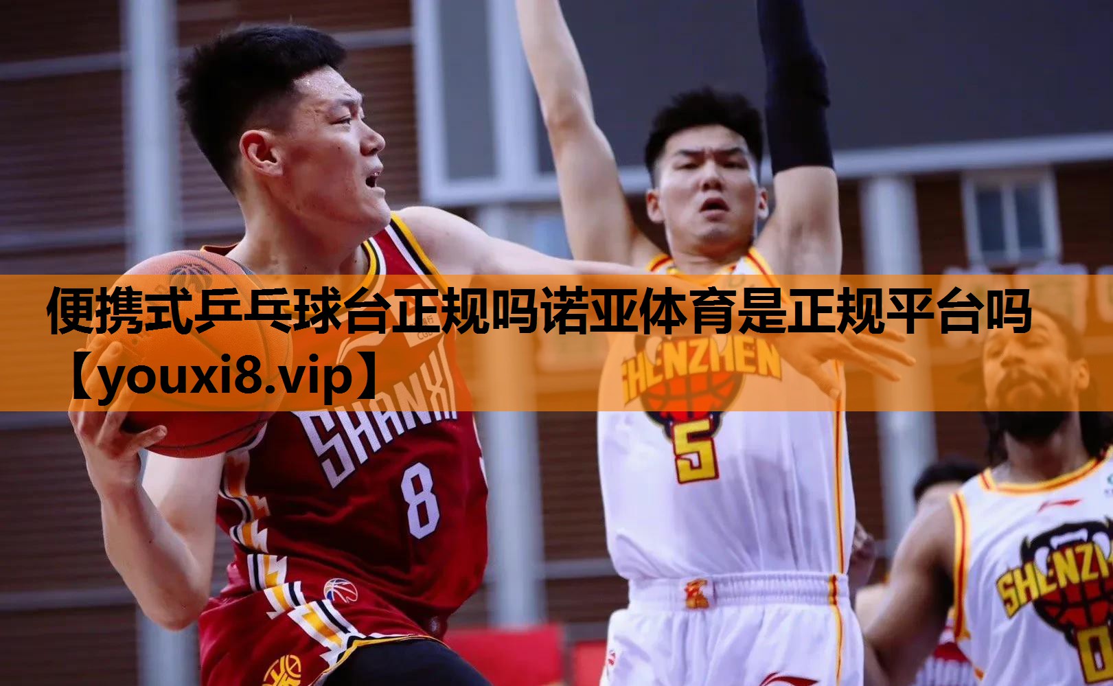 便携式乒乓球台正规吗诺亚体育是正规平台吗