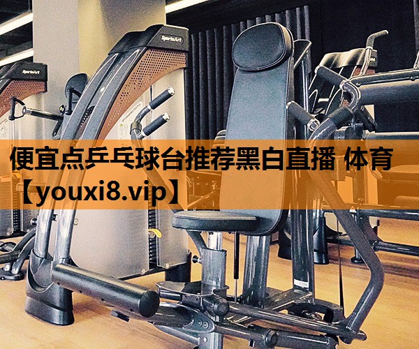 便宜点乒乓球台推荐黑白直播 体育