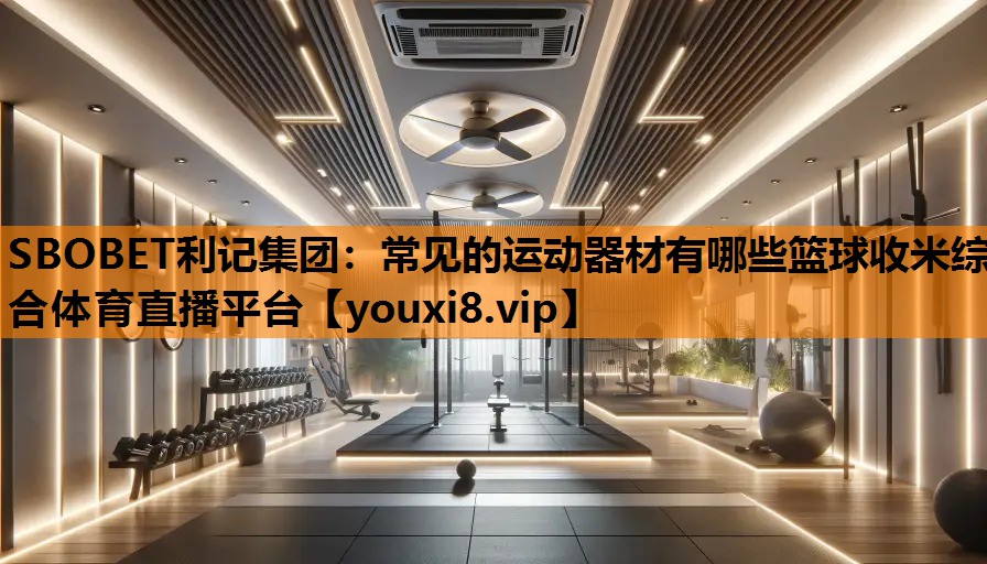 SBOBET利记集团：常见的运动器材有哪些篮球收米综合体育直播平台