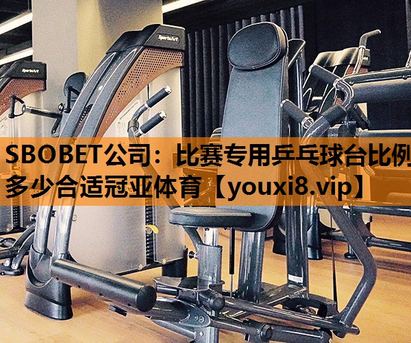 SBOBET公司：比赛专用乒乓球台比例多少合适冠亚体育