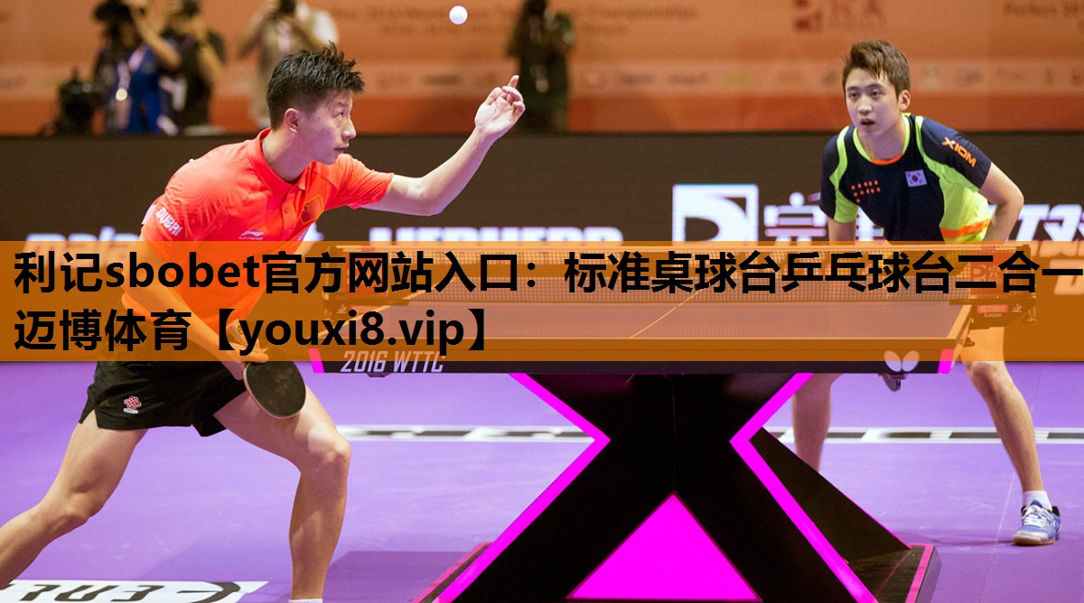 利记sbobet官方网站入口：标准桌球台乒乓球台二合一迈博体育